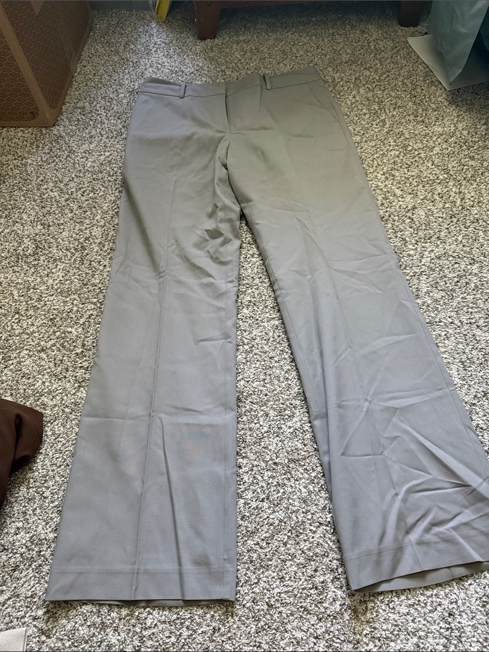 Ann Taylor Signature Light Gray Pants